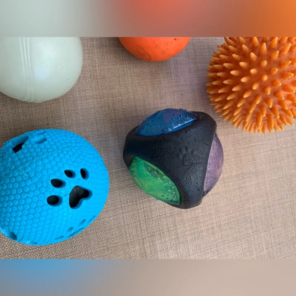 Bundle of 5 dog balls set